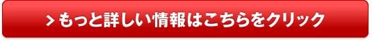 レンジ対応容器　イワタニ クラッシュミルサー販売サイトへ